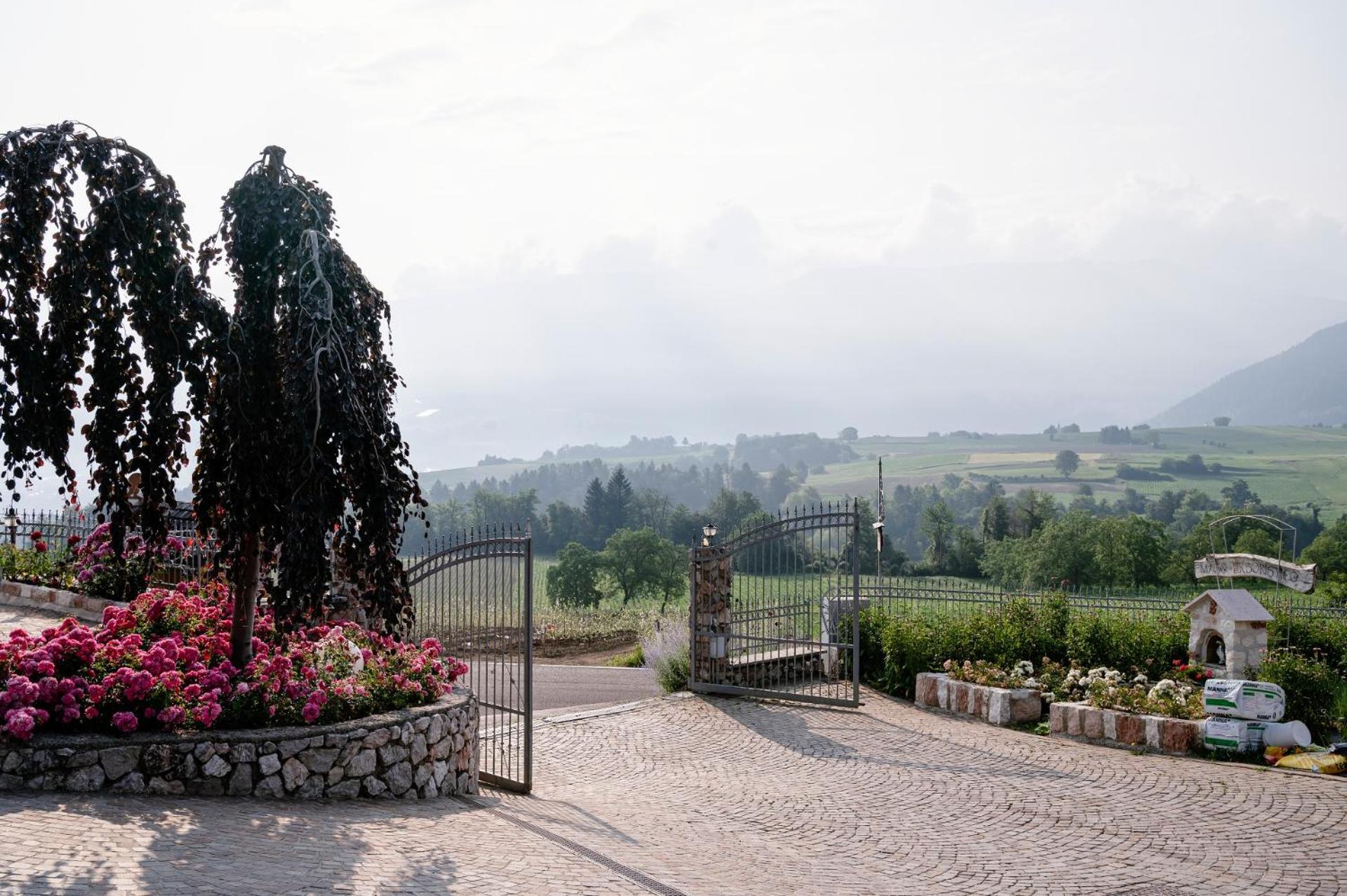 Agritur Maso Alle Rose B&B E Restaurant Balbido-rango Екстериор снимка